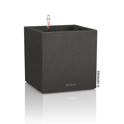 Lechuza - CANTO Stone 30 - low - graphitschwarz Set - 13702