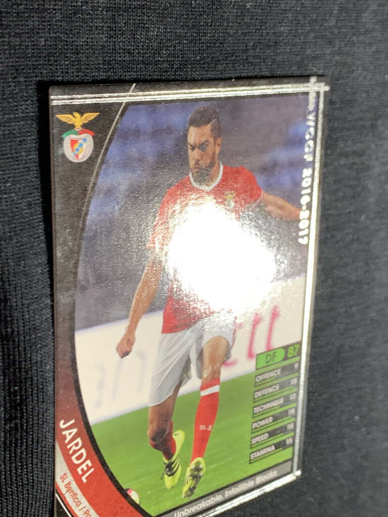 Jardel WCCF PANINI soccer card Japan sports 275/389 2015-2016