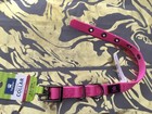 Dog buckle collar, Top paw buckle collar Pink Size XSmall 8-12" nwt ON SALE🐾🐾