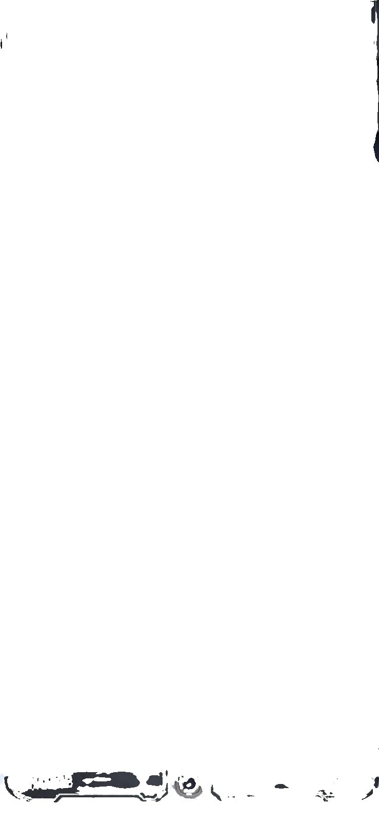 Topps Rey Star Wars Collectable Trading Cards