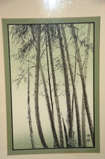 "Bamboo" Japanese Woodblock Print Eiichi Kotozuka 1960 Framed Silk Mat 25x19