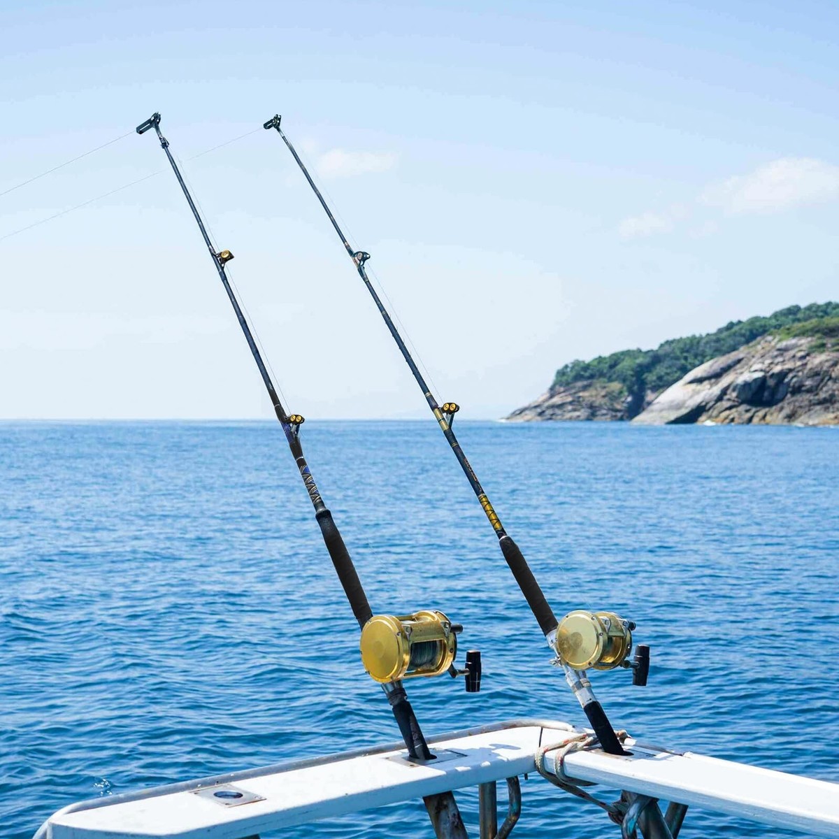 Topline Tackle Bent Butt Fishing Rod Deep Sea Fishing Pole with Swivel Tip for Saltwater Big