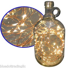 10M 32FT 100LED Copper Wire LED String Fairy Lights For Decoration WarmWhite US