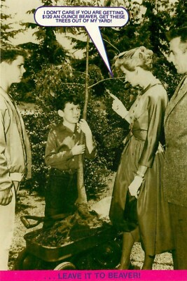 June Cleaver Yelling at Jerry Mathers Leave It To Beaver Postcard  6 x 4 