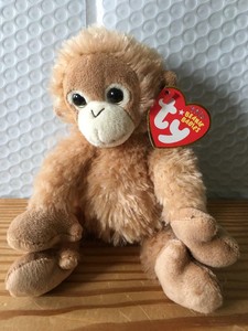 beanie baby monkey bongo beanie baby monkey bongo