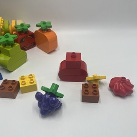 LEGO DUPLO Creative Picnic (10566) Incomplete