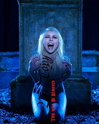 Taylor Momsen Photo Collection REPRINTS 8''x10'' #000