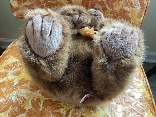 Ty, 1998, 9” Brown Bear, Fuzzy, Soft Paws, Plastic Nose & Eyes, Nice. - Picture 4 of 5