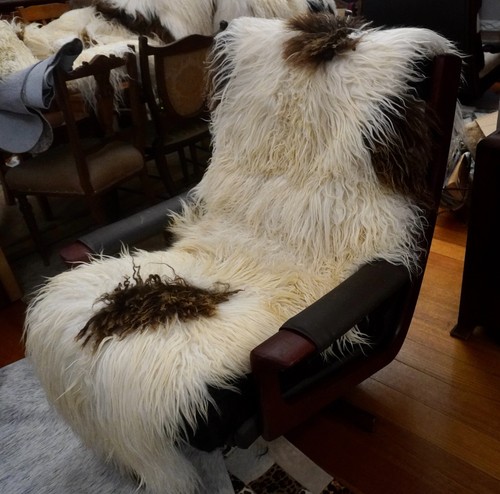 A Cascade of Natural Curls -Double Length Brown & White Icelandic Sheepskin Rug - Picture 7 of 10