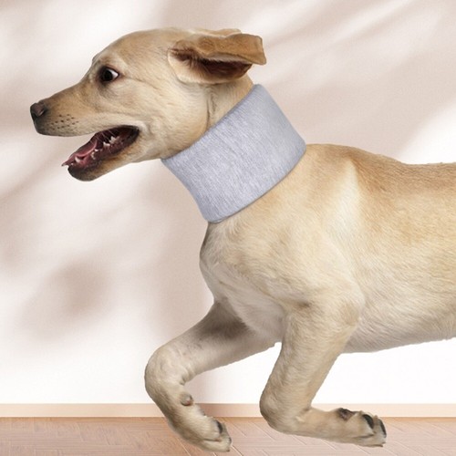 Dog Post Surgery Neck Wear comfortable Prevent Bite Post Surgery Collar