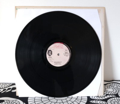 Ronnie Davis    Breaking Up 12'' Dub Reggae