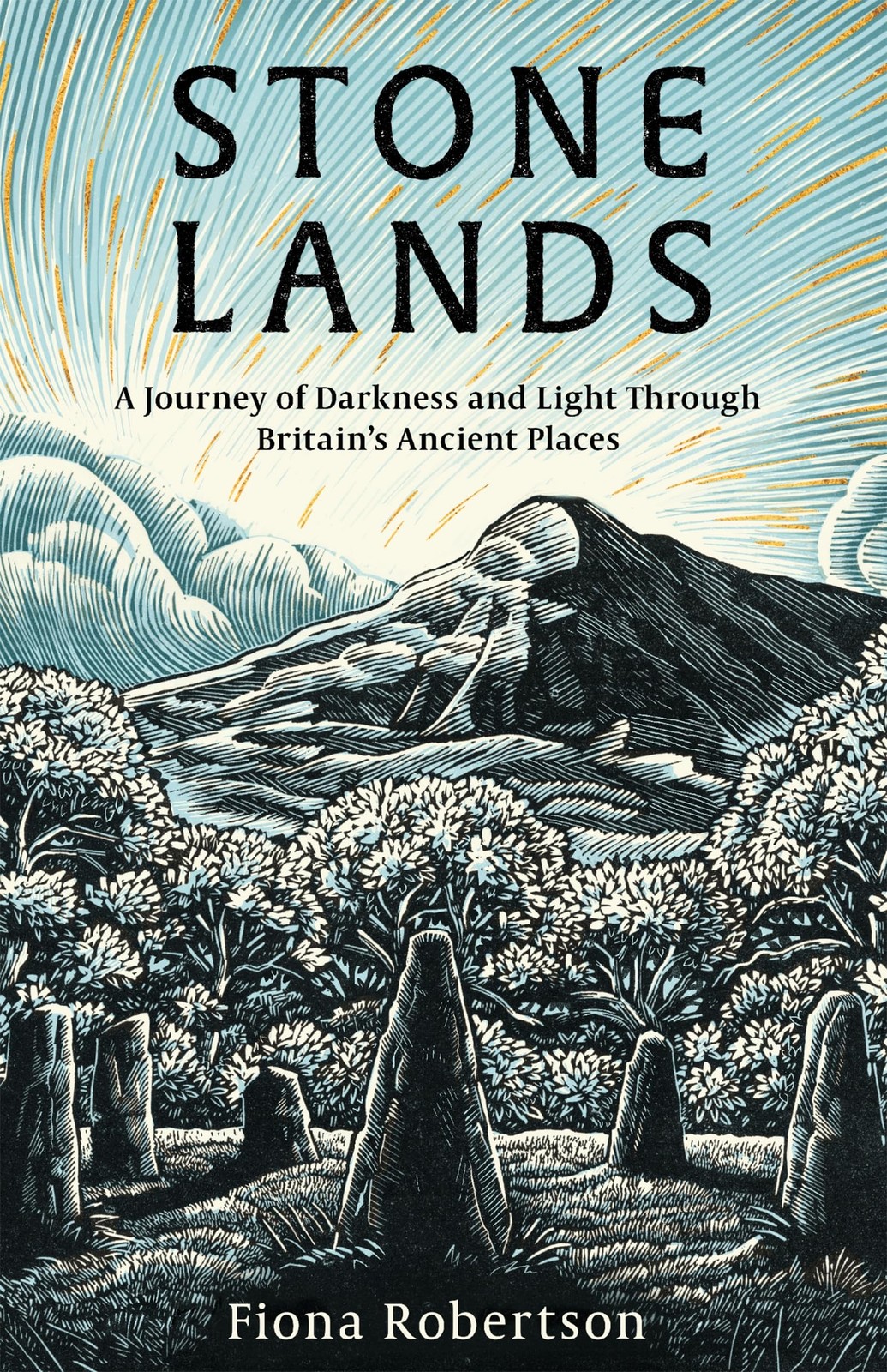 Stone Lands by Fiona Robertson HARDBACK - Image 7