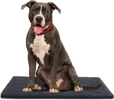 Chew Proof Dog Crate Bed Pad Mat for Tough Dog, 22"x35 inches, Black 