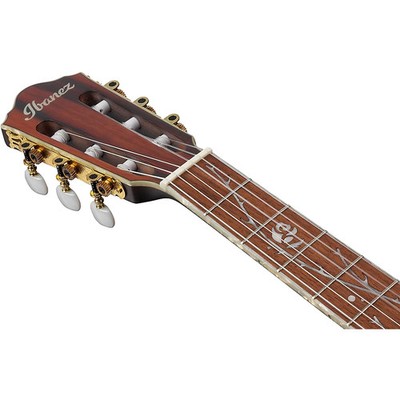 Ibanez TOD10N Tim Henson Signature Nylon Acoustic-Electric Guitar