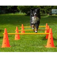 Dog Agility 3Er Set Pylonen-HüRden - 38 Cm