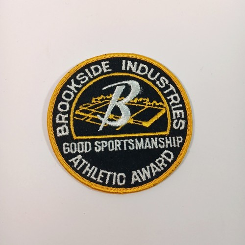 Patches (You Pick) Police, Sheriff, Fire, Security, UN, ROTC - READ DESCRIPTION - Picture 11 of 35