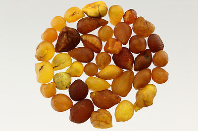 Lot of 39 Natural Raw Rough Rare Drops Nugget Genuine BALTIC AMBER 15g s70202-33
