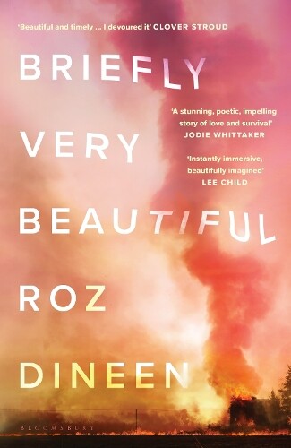 Roz Dineen Briefly Very Beautiful (Copertina rigida)