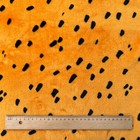 Bild 36 von 46