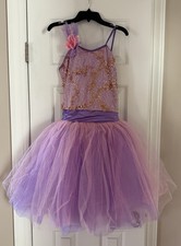 Adult Large Pink Purple Ballet Pointe Multi Layered Tutu Dance Costume
