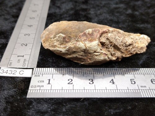 Fossil Holz Rohstein Mineralien Sammlung versteinert Reiki Esoterik Roh - Bild 2 von 3