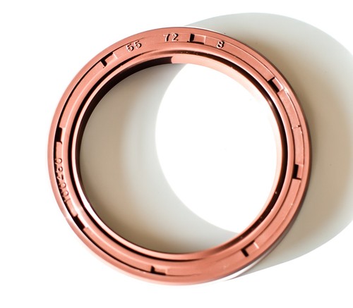 EAI 56x65x8 Mm FPM/FKM Guarnizione Rotante Albero Olio Con - Foto 2