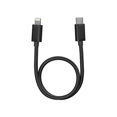 FiiO LT-LT3 USB Type C to¬¨ Ä Lightning Cable 0.7ft Supports Lossless
