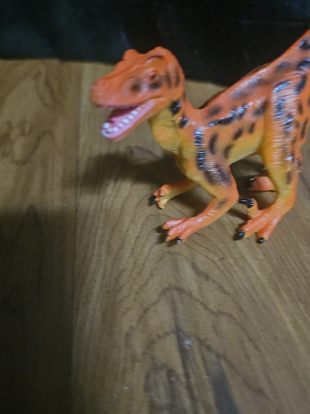 Picture 4 of 5