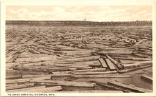 Lumber on River The Drive Arriving Riverton WY POSTCARD