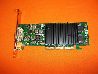 NVIDIA (P117) 64 MB DDR SDRAM AGP, DVI & S-VIDEO OUTPUT.