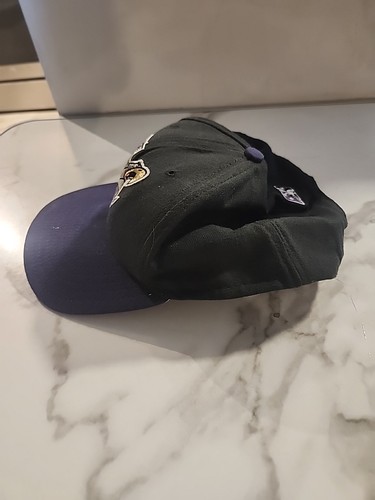 Vintage Lancaster Jethawks Snapback Hat Cap Minor League Purple Black MiLB Y2K - Picture 4 of 13