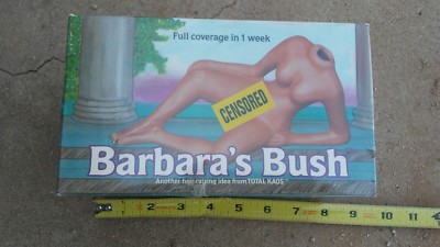 1991 BARBARA'S BUSH Chia planter ORIGINAL BOX risqué novelty, fine shape