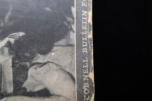 Vtg Canning at Home WW2 Homefront Cornell Bulletin 583 1943 Marion Pfund Booklet - Picture 5 of 24