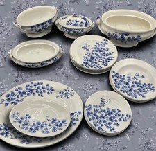 Vtg 19 Pc Ridgways Childs Maiden Hair Fern Dishes Doll Kids Toy 1890s