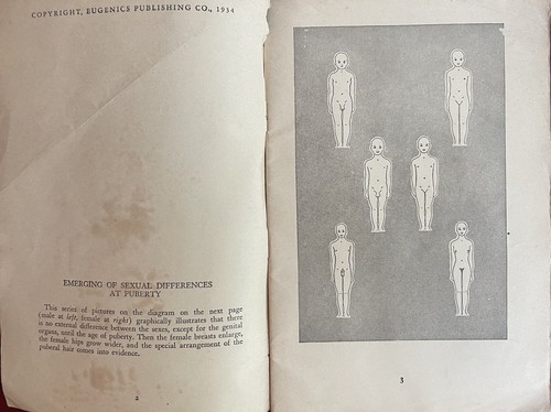 Folleto 1934 Imagen Historia de la vida sexual de una mujer Folleto - Imagen 2 de 4