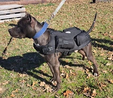 CWS Weighted Dog Vest + Flotation Vest-XXSmall 5 Pounds Sandbags Only No Sand!!