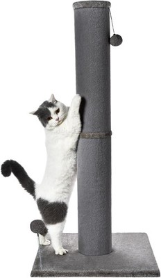 Bobcat Cat Scratching Post for Indoor Cats Tall Cat Scratch Post Carpet Cat S