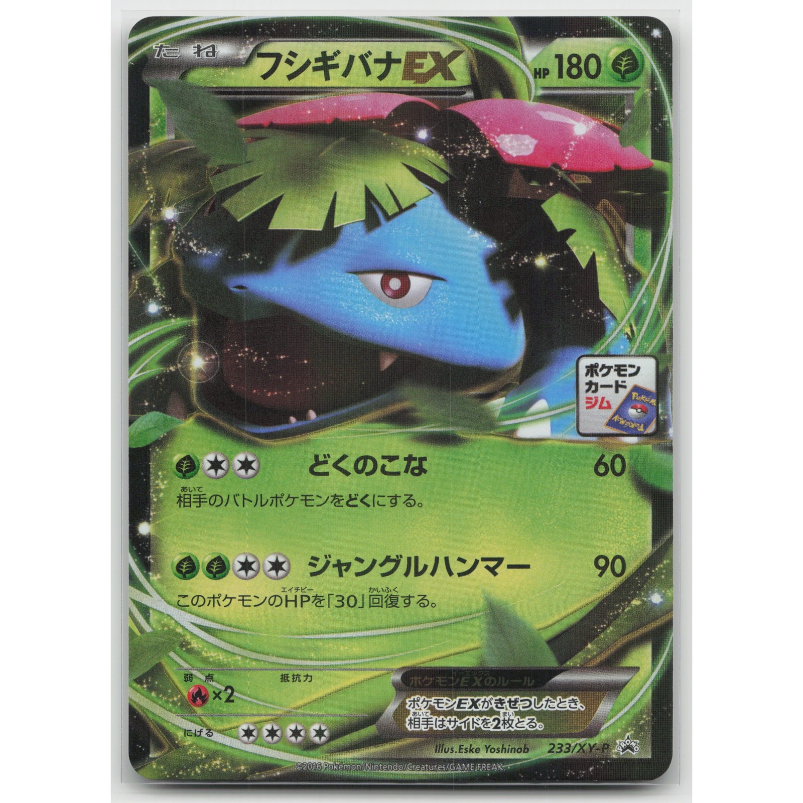 Venusaur EX Holo XY-P: XY Promos 233/XY-P C NM Japanese Pokemon