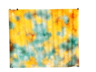 6 Ft Poly Bokeh 10 Backdrop Portrait Background For Photography Studio