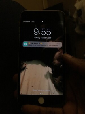 Apple iPhone 6s Plus - 32 GB - Gold (Unlocked)