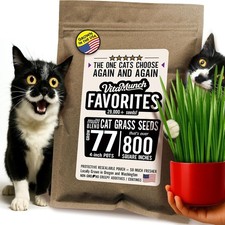 Cat Grass Seed Favorites Non-GMO Wild Native Blend Chosen by Most Kitties Grows