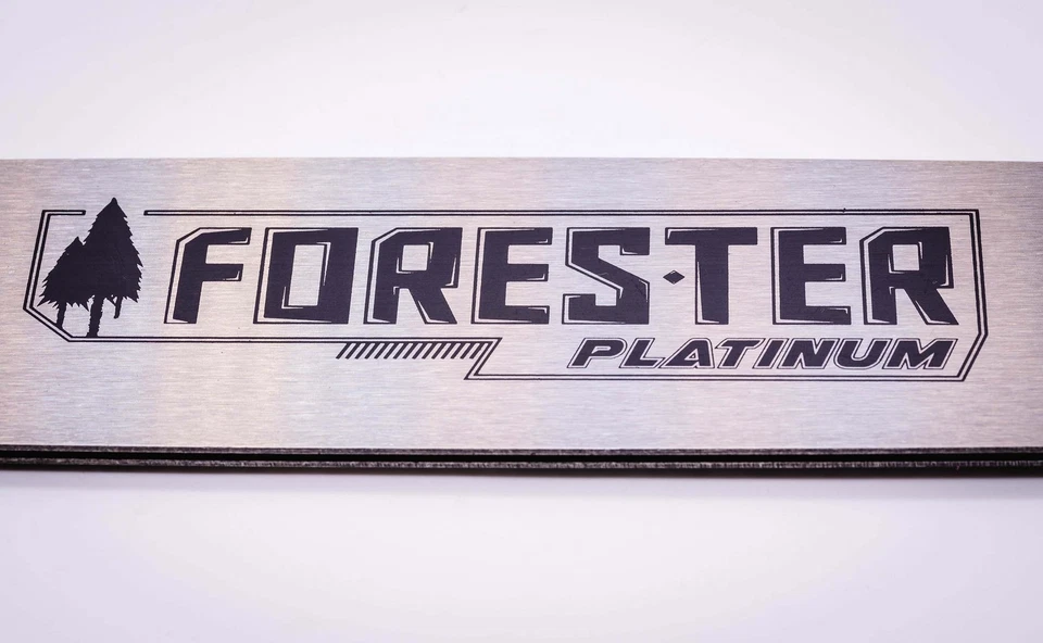 BARRA FORESTER PLATINUM 20" SE ADAPTA STIHL MONTAJE GRANDE 3/8 .063 72DL Foto 2 de 4