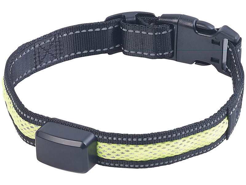 Collier LED à chargement cinétique Infactory chien moyen lumineux