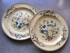WEDGWOOD :: 19thc (2) SALAD/DESSERT 8 1/4” PLATES “Yellow Cuckoo” A7282 ENGLAND