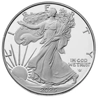 2025-S $1 1-oz Proof American Silver Eagle Box, OGP &COA