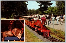 Vtg Postcard Zooline Railroad Forest Park Saint Louis, MO 1970s