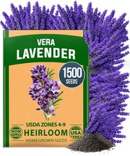 HOME GROWN Non GMO English Lavender Seeds 1,500 Wildflower Seed for 1-Pack