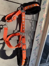 Horze Halloween Halter Orange with Black Fleece and Skulls