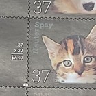 Foto 7 di 8