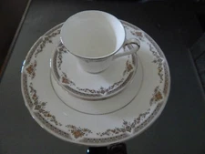 Royal Doulton REPTON PLATINUM TRIM Dinner Plate & cup with saucer appear unused!